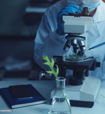 Professional Biotechnology Translation Services For Global Reach